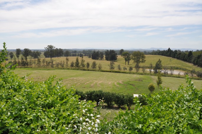 381e9bc8da068bb2abf81b2f5b94ca58_m